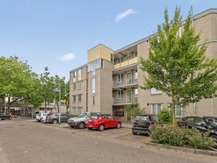 Camera Obscurastraat 233