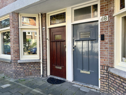 Druivenstraat 48