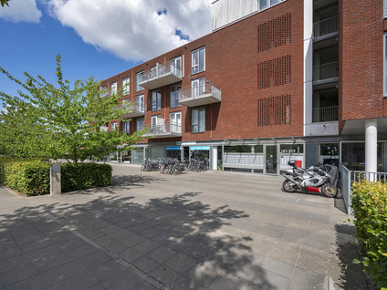 El Grecostraat 209