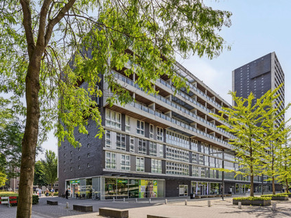 Professor de Moorplein 474