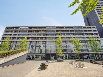 Professor de Moorplein 474