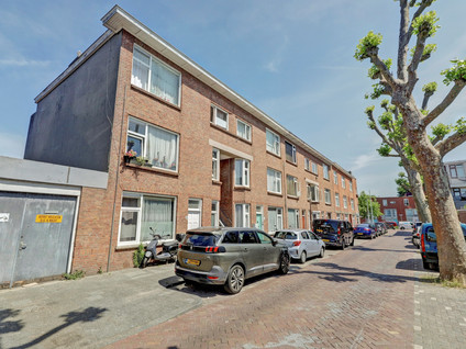 Majubastraat 25