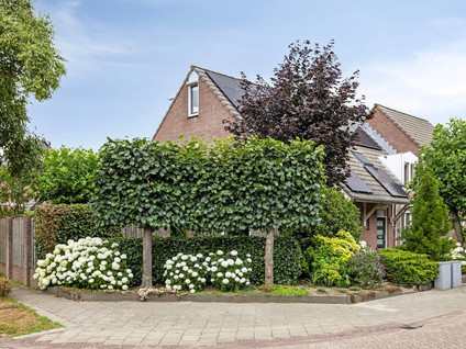 Carmelietenstraat-west 41