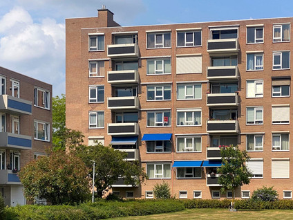 Albert Cuypstraat 182