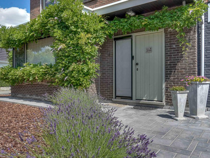 Rodenbachstraat 6 3630 Maasmechelen 