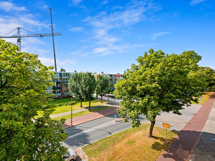 Hengelolaan 681