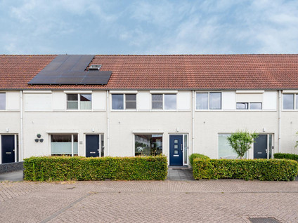 Pallieterplein 111