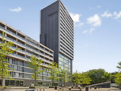 Professor de Moorplein 551