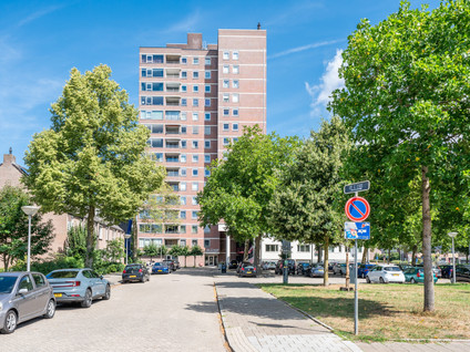De Greide 60