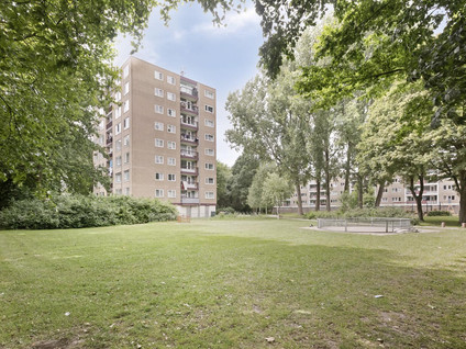 Thijssestraat 161