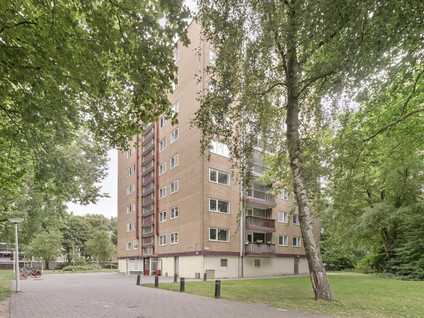 Thijssestraat 161