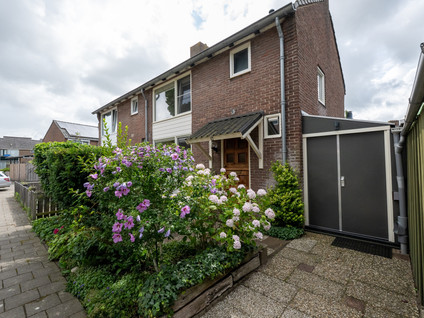 Pelikaanstraat 17