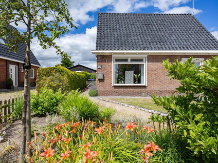 Kortelaan 5