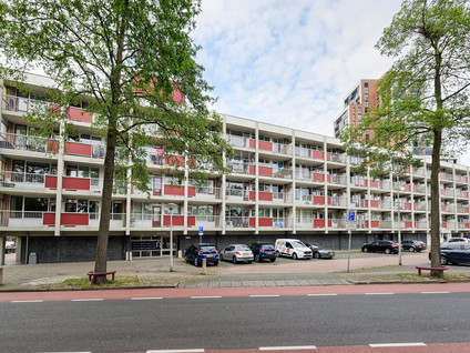 Bankrashof 80