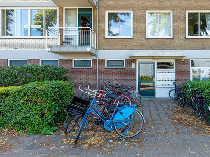 Van Bijnkershoeklaan 65
