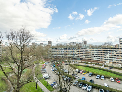 Jonkerbos 193