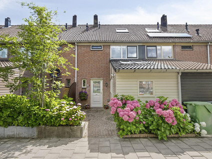 Gouwe 24