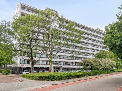 Sint Philipsland 113