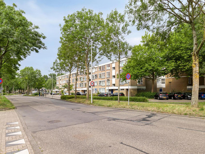 Westerlengte 119