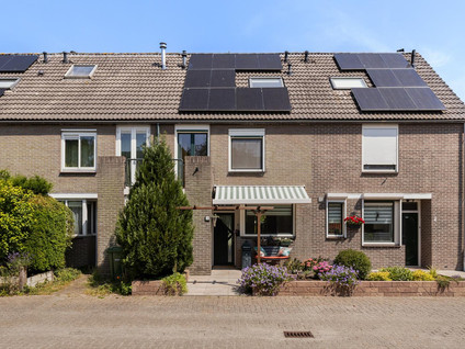Tijmgaarde 4
