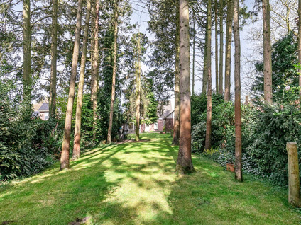 Grootschoterweg 57