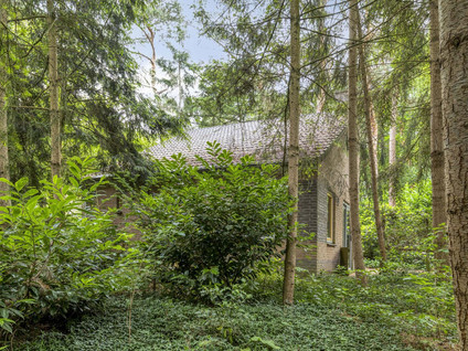 Ruurloseweg 39W 35
