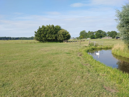 Herenweg 