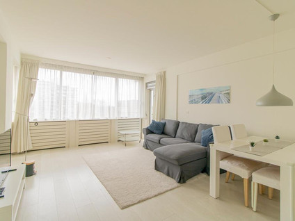 Meander 603
