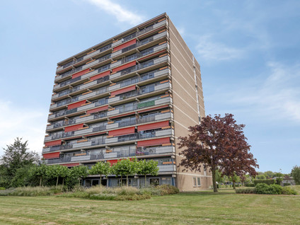 Aalscholversingel 50