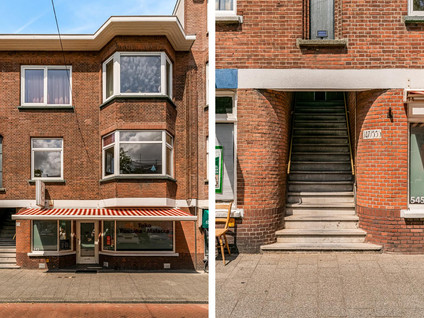 Vlierboomstraat 547