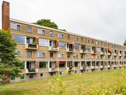 Oliemolensingel 250