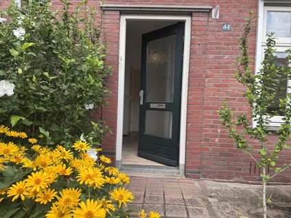 Beukenlaan 44