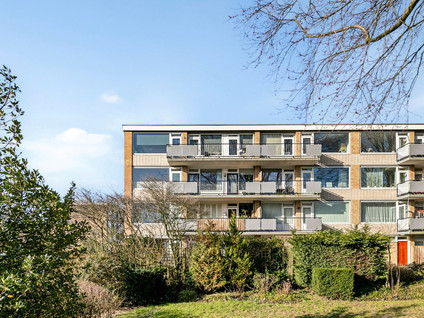 Van Opbergenstraat 54