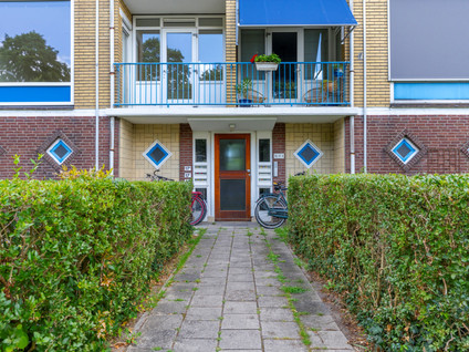 Royaards van den Hamkade 17