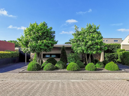 Loosdorpstraat 6