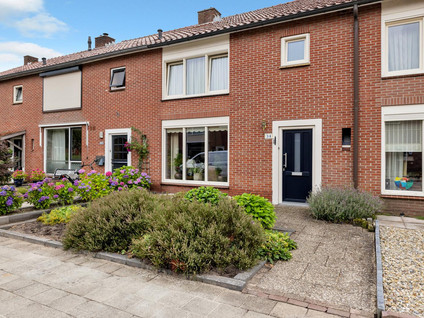 Tulpstraat 34