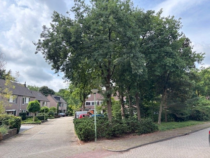 Beethovenlaan 27