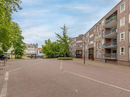 Dobbelsteynporte 14