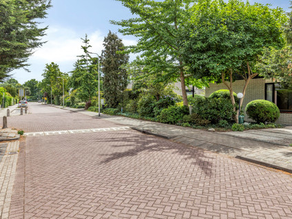Van Maerlantpark 29