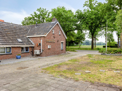 Zandberg 92