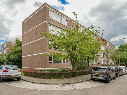 Wilbertoord 100