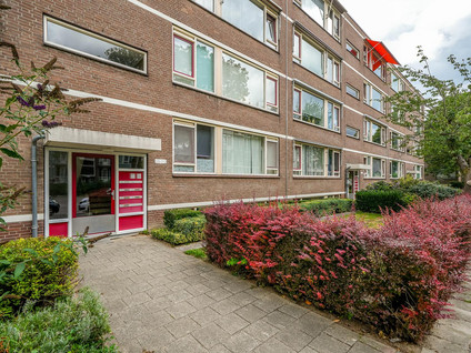 Wilbertoord 100