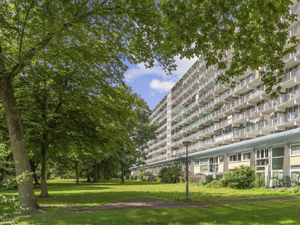 Hoogoord 14