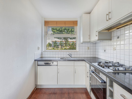 Rietzangerstraat 11