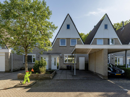 Zaagmolen 6
