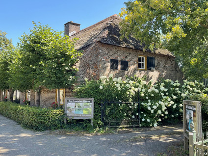 De Dijk 8