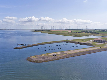 Residentie Oosterschelde 