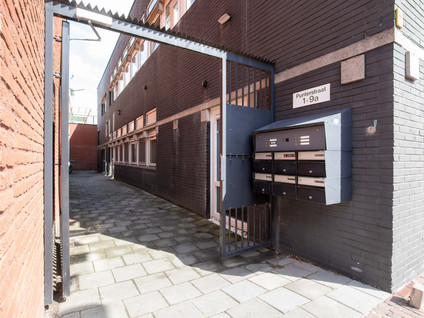 Punterstraat 5