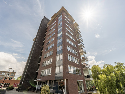 Thetfordstraat 172
