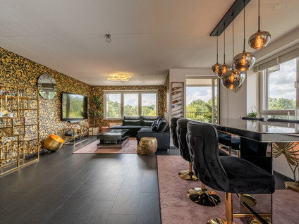 Thetfordstraat 172